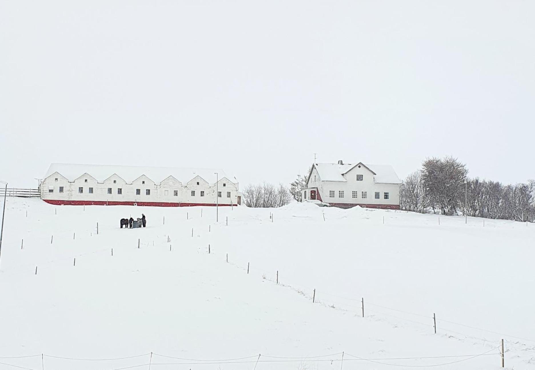 Helluland Guesthouse Saudarkrokur 外观 照片